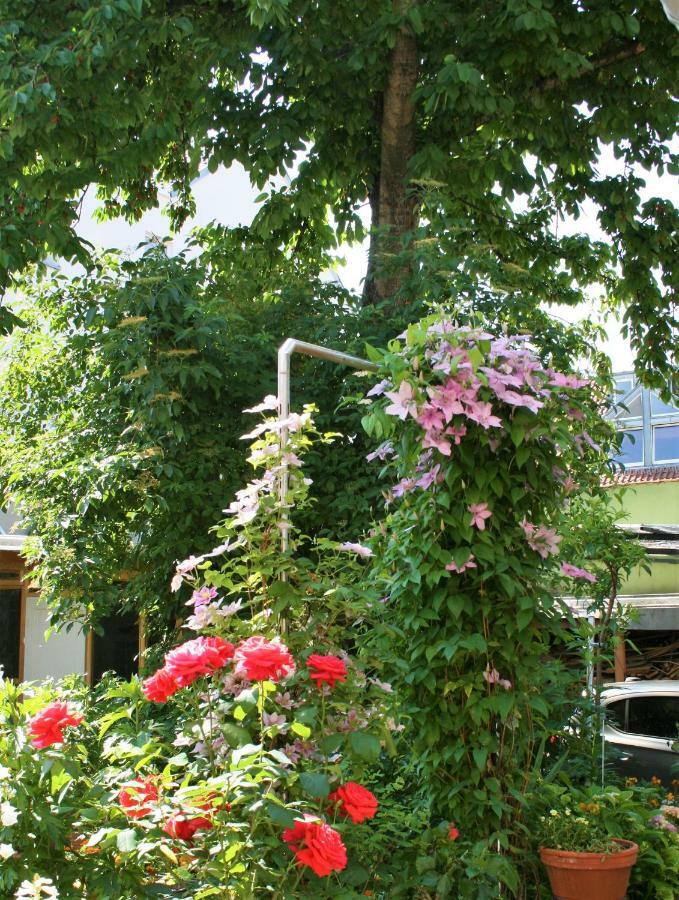 Herrenhof Worms Esterno foto